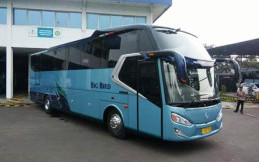 Usai Berlebaran, Bluebird Fasilitasi 3000 Pengemudi Kembali ke Jakarta