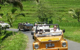 Plesiran ke Bali, Ahok Menikmati Naik VW Safari