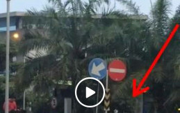Aksi Kocak Polisi Tilang Pengendara Motor