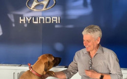 Hyundai Brazil Rekrut Anjing Sebagai Karyawan