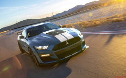 Ford Mustang Shelby GT500 Signature Edition, 800 DK!