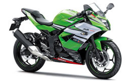 Kawasaki Luncurkan Ninja RR Mono ABS Livery WSBK
