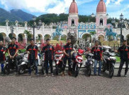 Ternyata Semut Dapat Jadi Pelopor Keselamatan Lalin, Mau Tahu
