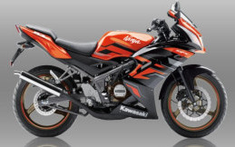 Cara Mudah Merawat Motor Kawasaki Ninja RR Agar Awet dan Kece