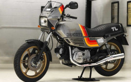 Ducati Pantah 600TL, Awal Mula Teknologi Desmodromik