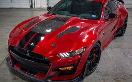 Shelby GT500 Signature Edition Tenaga Capai 800 Dk