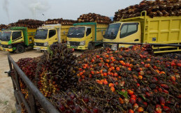 Minyak Sawit, Bantu Ketersediaan Pasokan Bahan Bakar Nasional