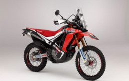 Honda Thailand Luncurkan Honda CRF 250 Rally