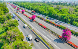 Resmi Naik, Catat Tarif Terbaru Tol Jagorawi dan Sedyatmo