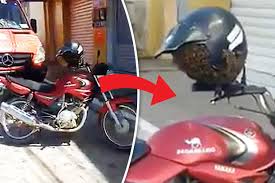 Aneh, Helm Motor Jadi Sarang Lebah