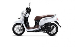 Lagi, Emak-emak Beli Honda Scoopy Pakai Receh Seberat 25 Kilogram !