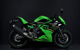 Kawasaki Perkenalkan Ninja 250SL dengan Livery KRT