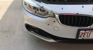 Seminggu Ditinggal, Mobil Ini Jadi Sarang Kecoak