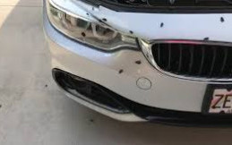 Seminggu Ditinggal, Mobil Ini Jadi Sarang Kecoak