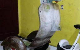 Bangga, Segway Listrik Berbentuk Vespa Klasik Karya Indonesia