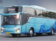Bus Baru PO Big Bird Gunakan Sasis Mercedes-Benz OH 1626 L, Intip Kebaruannya