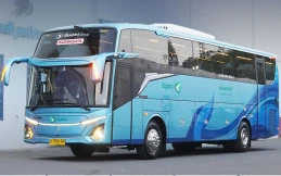 Bus Baru PO Big Bird Gunakan Sasis Mercedes-Benz OH 1626 L, Intip Kebaruannya
