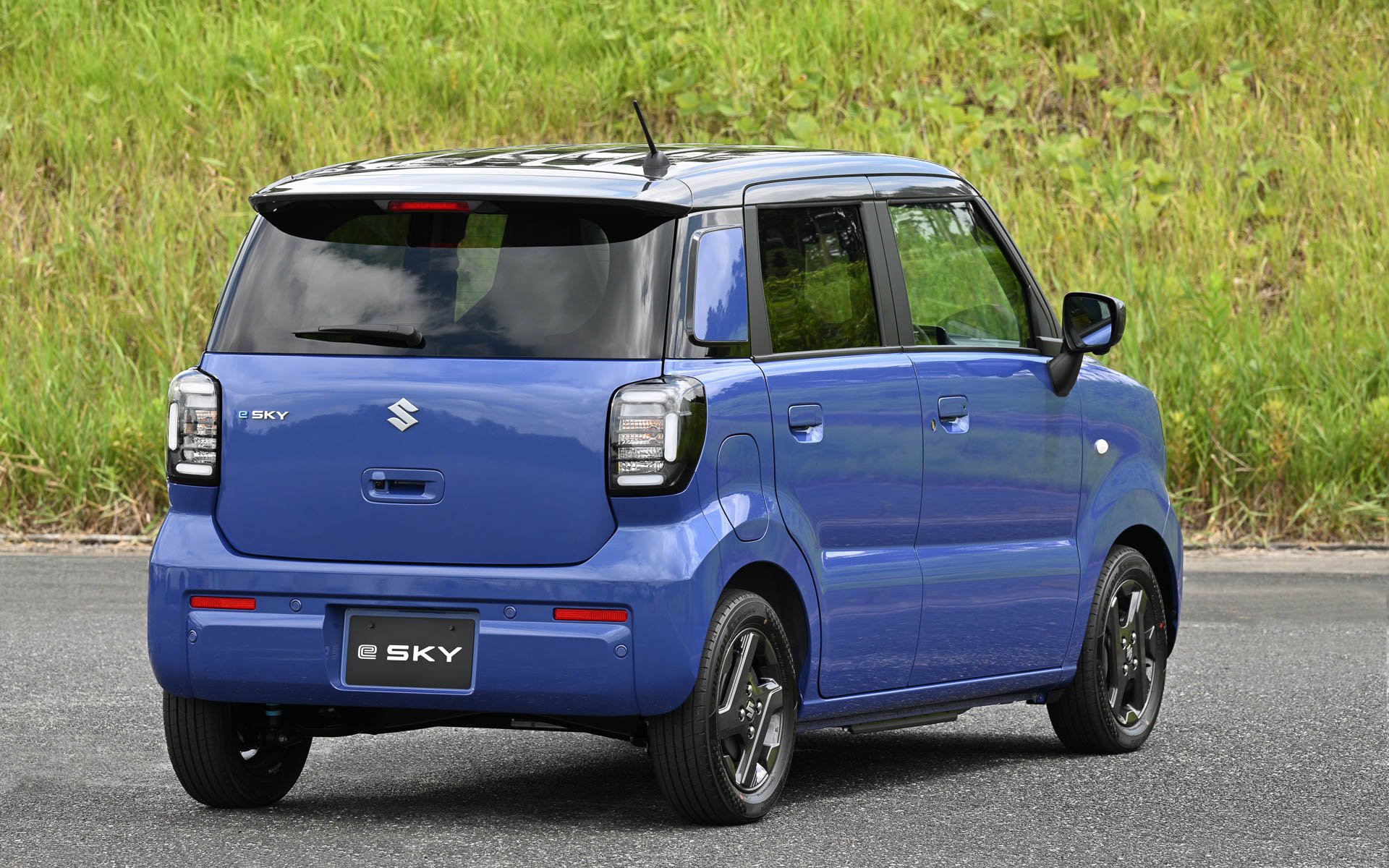 Suzuki e-SKy