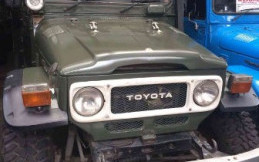 Otto Land Jadi Langganan Penggemar Mobil Jeep 