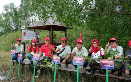Menjaga Habitat Bekantan, Yayasan AHM Tanam 1.000 Pohon Mangrove di Pulau Curiak