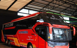 Pakai Sasis Scania, PO Halmahera Tambah 2 Suites Combi Bus Baru 