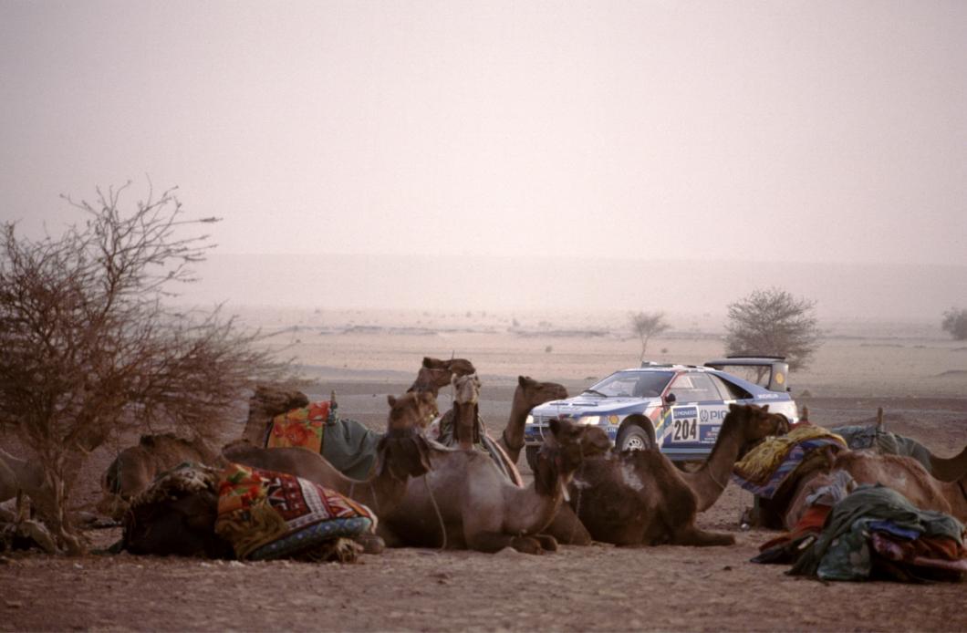 Drama Pencurian Peugeot 405 T16 Tunggangan Ari Vatanen Gemparkan Paris-Dakar