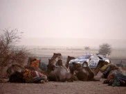 Drama Pencurian Peugeot 405 T16 Tunggangan Ari Vatanen Gemparkan Paris-Dakar