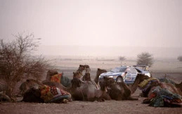 Drama Pencurian Peugeot 405 T16 Tunggangan Ari Vatanen Gemparkan Paris-Dakar