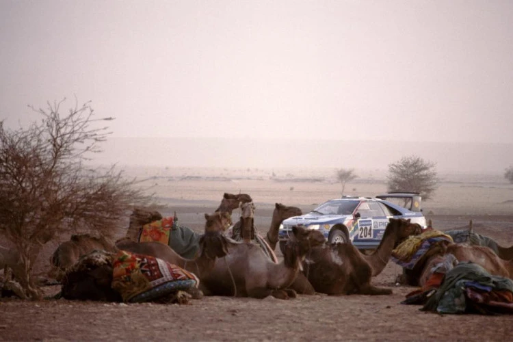 Drama Pencurian Peugeot 405 T16 Tunggangan Ari Vatanen Gemparkan Paris-Dakar