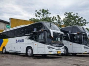 Darurat BBM! Damri Minta Maaf, Puluhan Rute Bus dari Jabodetabek hingga Papua Berpotensi Terganggu