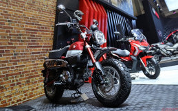 Honda Sudah Mengirim 300 Unit Monkey ke Konsumen