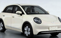 Wuling Binguo Pro akan Meluncur, Mirip GWM Ora 03 Tapi Harganya Bisa Setengah Lebih Murah