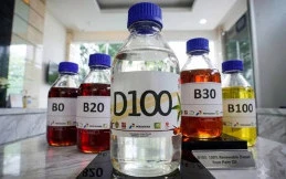 D100, Diesel Hijau 100 Persen dari Minyak Sawit Indonesia