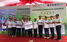 Toyota Indonesia Hijaukan Pesisir Jawa, Brebes Ditanami 70 Ribu Mangrove 