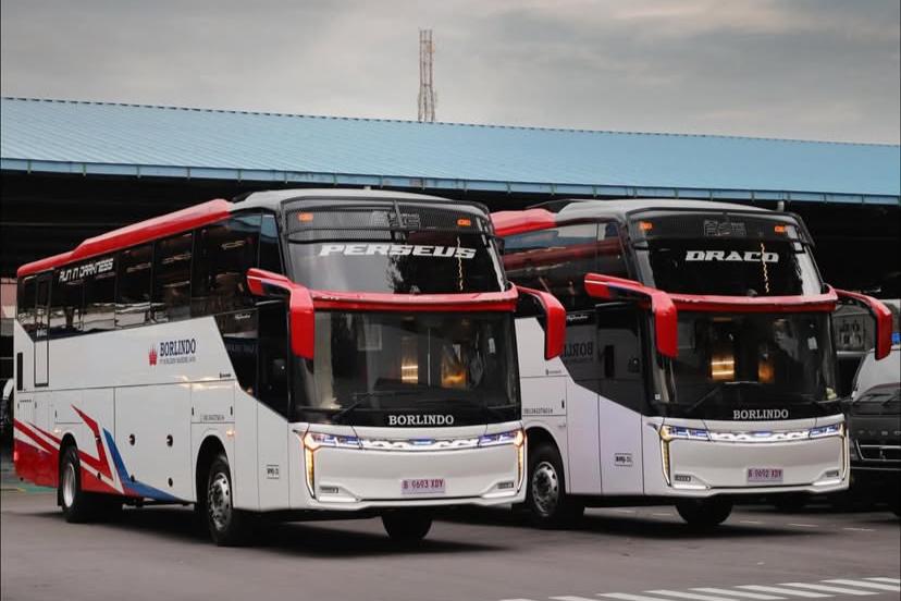 Po Borlindo Rilis Dua Bus Baru, Ada Kursi Spesial untuk Penumpang