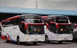 Po Borlindo Rilis Dua Bus Baru, Ada Kursi Spesial untuk Penumpang