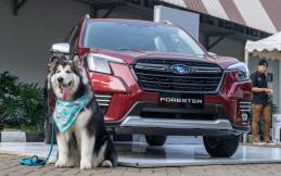 Cara Subaru Indonesia Dukung Pecinta Hewan