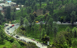 Pemerintah Siapkan Rp36 Miliar untuk Benahi Jalur Puncak