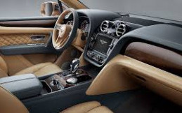 Bentley Gunakan Jamur dan Ubur-ubur untuk Desain Interior