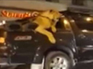 Ngeri, Pemilik Mobil Ini Ajak Singa Jalan-jalan