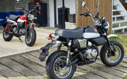 Honda Monkey 125 Ada Warna Baru