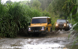 Libur Natal Tahun Baru Bertualang Pakai Mobil? Yuk, Simak Secara Umum yang Harus Disiapkan