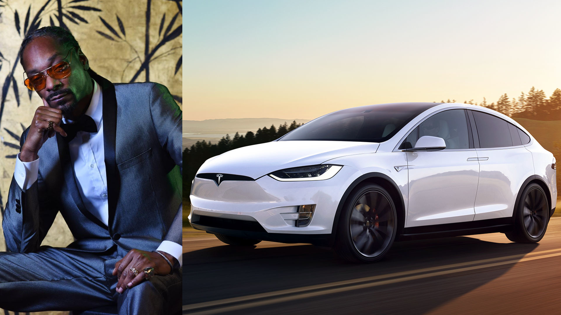 Alihkan Hobi ke Mobil Listrik, Snoop Dogg Beli Tesla Model X