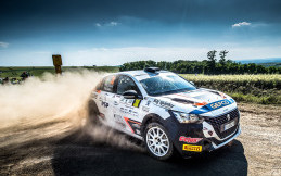 Sekilas Cerita Peugeot 208 Rally4