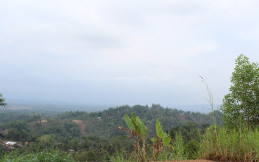 Bukit Bintang, Harta Kota Banjarnegara