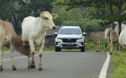 Test Drive All-new Honda BR-V Prestige with Honda Sensing Eksplorasi Kemampuan di Beragam Kondisi Jalan
