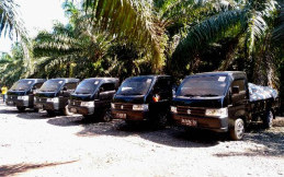 Melalui Suzuki Carry, Sebagai Dukungan Pergerakan Ekonomi Nasional