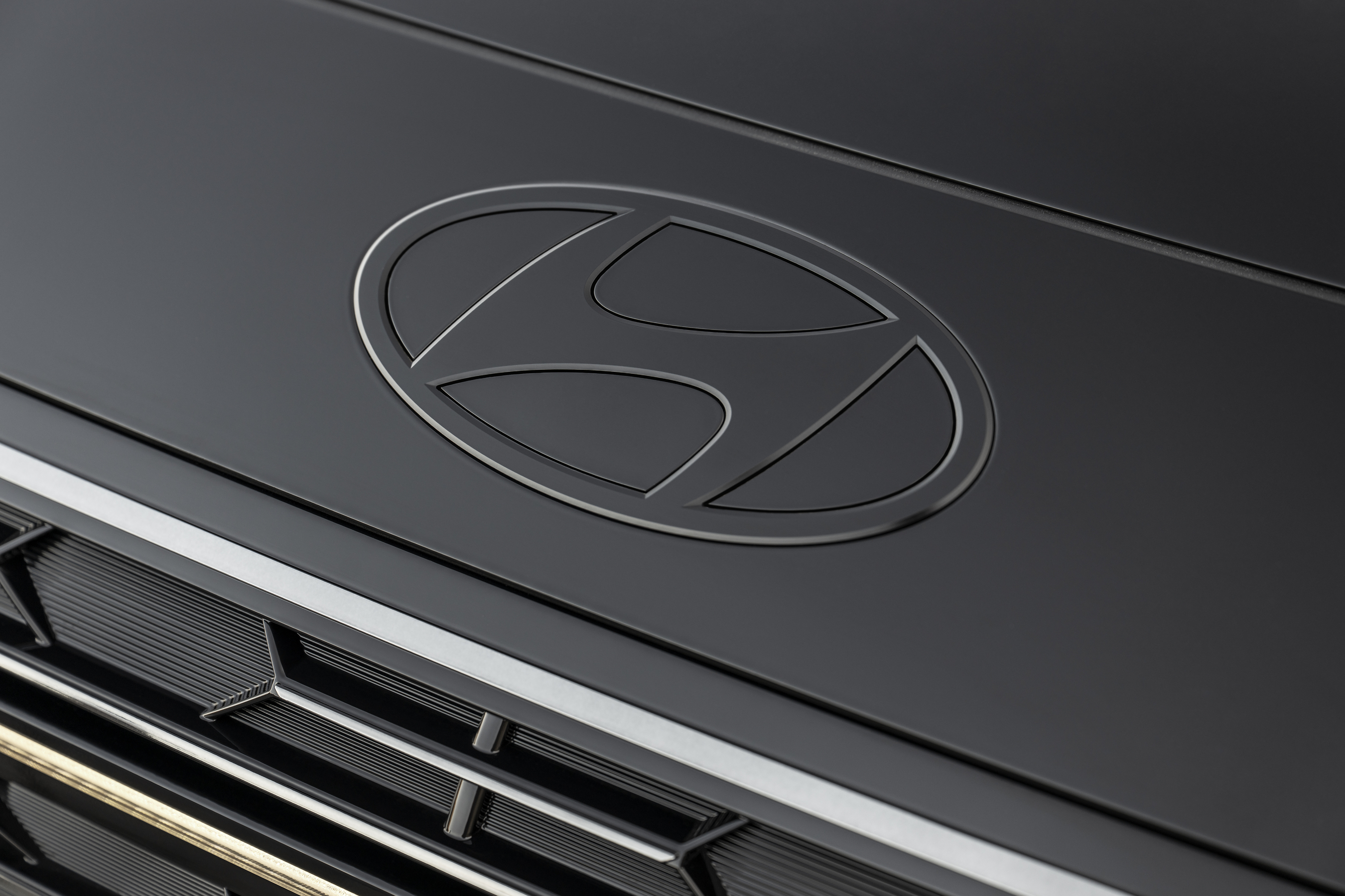 Hyundai Palisade Hybrid Calligraphy Black Ink