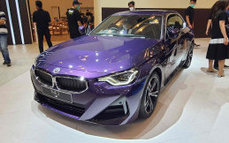 Profil BMW 220i Coupé M Sport