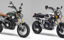 Ini Dia Alasan Utama Honda Suntik Mati Monkey